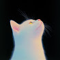 purrito Avatar