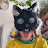Avatar de @r4v3n-i5l