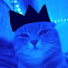 abAd1wwJWaM-channel-avatar-PcPc