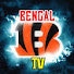 kS7Qv0bN9q0-channel-avatar-The Bengal TV