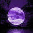 c7Vj3pE9LXw-channel-avatar-Moon Stories
