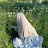 @غزوله-ب3ح