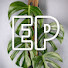 loCQBWBnCAQ-channel-avatar-Everything Plants