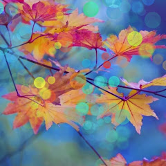 Іңкәр Сәдуақасова