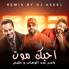 DJ Aseel - Topic