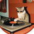 V-Dky_Ca0WI-channel-avatar-MIIREVO