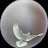 @jason96's avatar