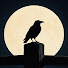 K8sBivvhwQg-channel-avatar-Dark Country Image