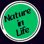 Nature in Life BD logo