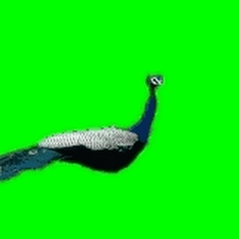 ब्लॉक 1508