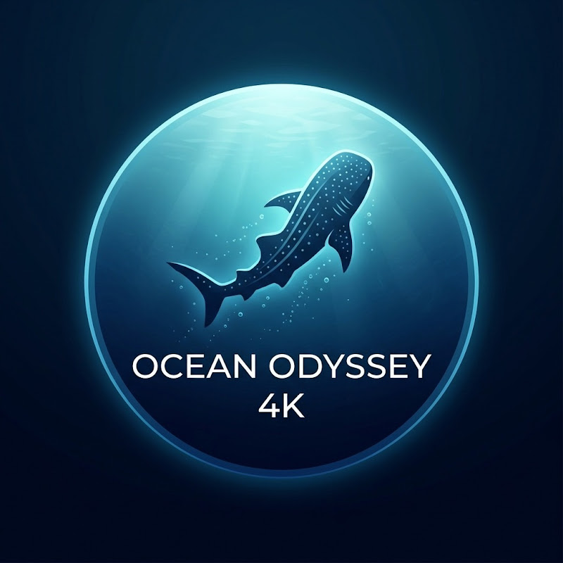 Ocean Odyssey 4K