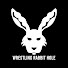 ugsZFZ7gfxA-channel-avatar-Wrestling Rabbit Hole