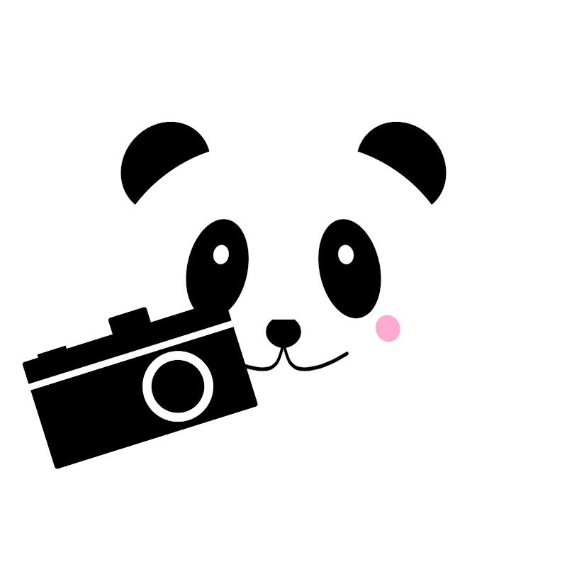 Pandastic Voyage