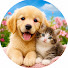 At96HsexPxw-channel-avatar-Pawsome Planet
