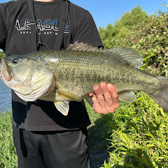 Blue Ridge Reeling
