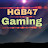 HGB47 Gaming