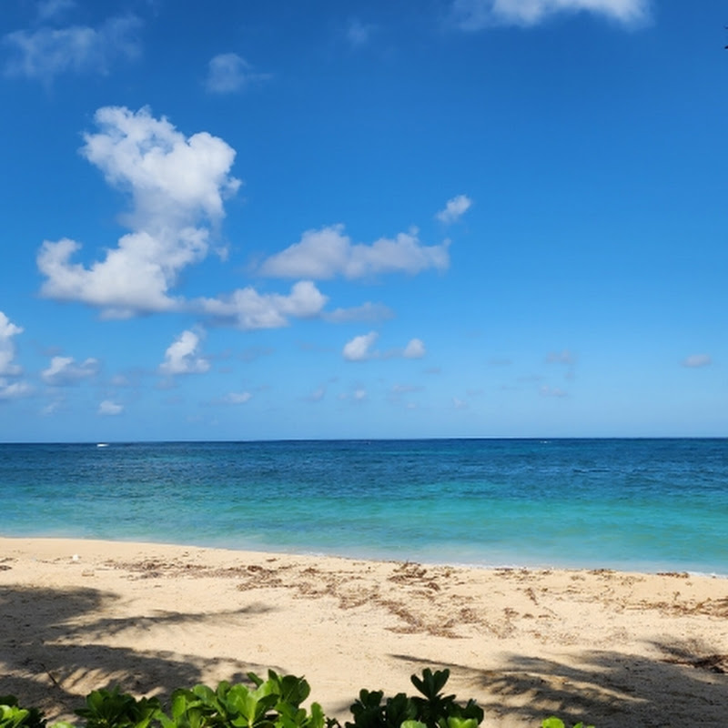 Wendy Roatan Realty & Associates