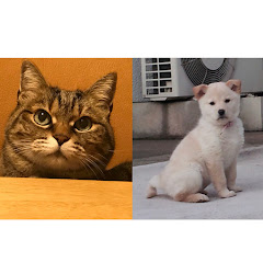 みーちゃんゆきちゃんこむぎぱん