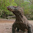 Komodo Discovery