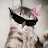 @AR12_aa