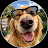 @GoldenRetrieverfe43