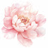2fKIEKqdxzg-channel-avatar-Petal Sounds