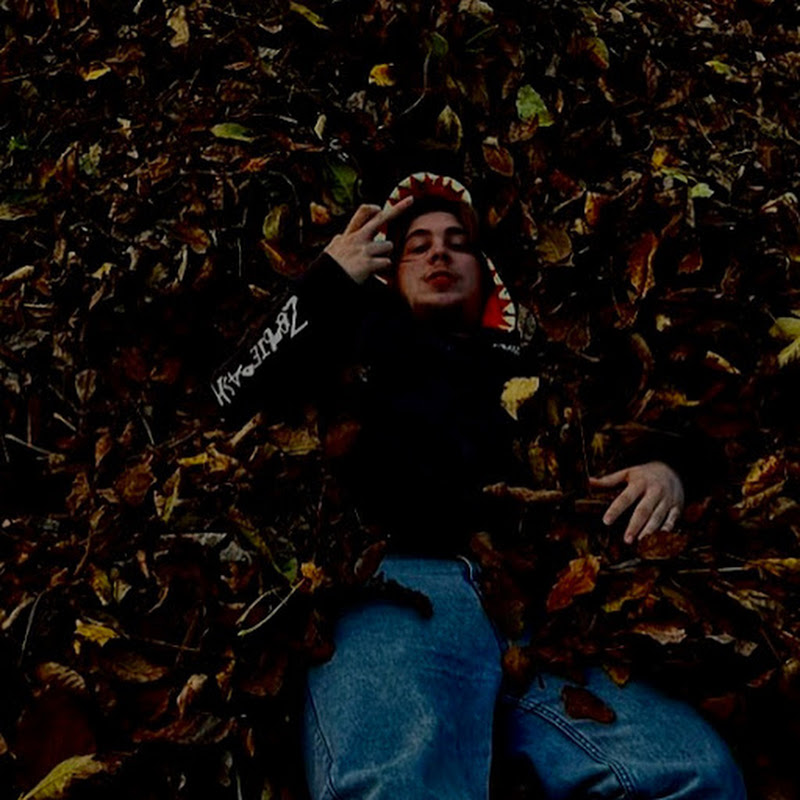 Hire Triple E — Mental Health Journey & Awareness YouTube creator for sponsorships