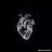 @محمدمفضل-ذ5ط