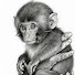 ypXUKAFC_Eg-channel-avatar-Rojo Monkey
