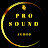 Pro Sound Audio