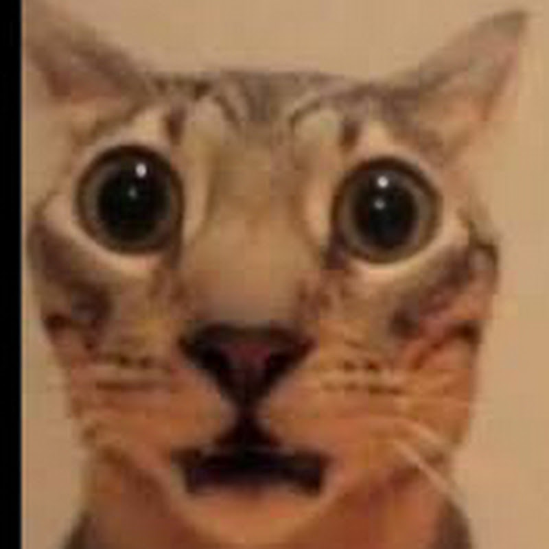 Hire Pandagames — Gaming Challenges & Montages YouTube creator for sponsorships