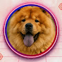 Daily Woof logo