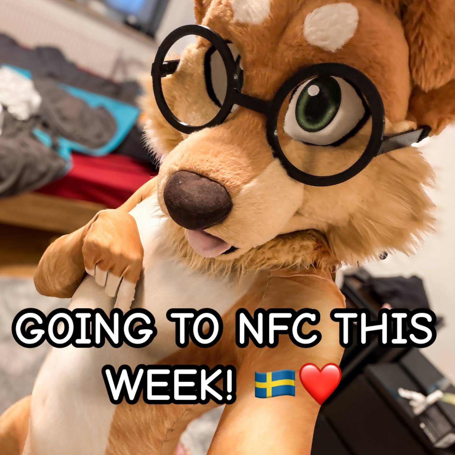 Post from Max Fluffy