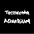 zqp_7IPs0as-channel-avatar-Terracotta Aquarium