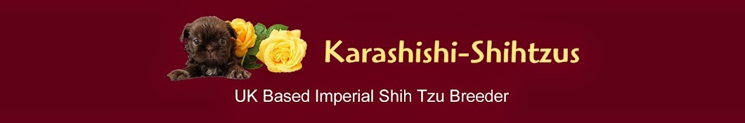 KarashishiShihtzus YouTube channel avatar