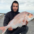 yuESOiuNIPM-channel-avatar-Feel Alive Fishing