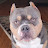 @Damico529-13 Avatar