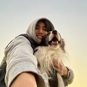 まさ” ボーダーコリーとふたり暮らし”