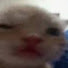 ecDjwGZOLLU-channel-avatar-Hazan Vods