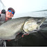 p6PU59F4Slw-channel-avatar-Reel West Coast