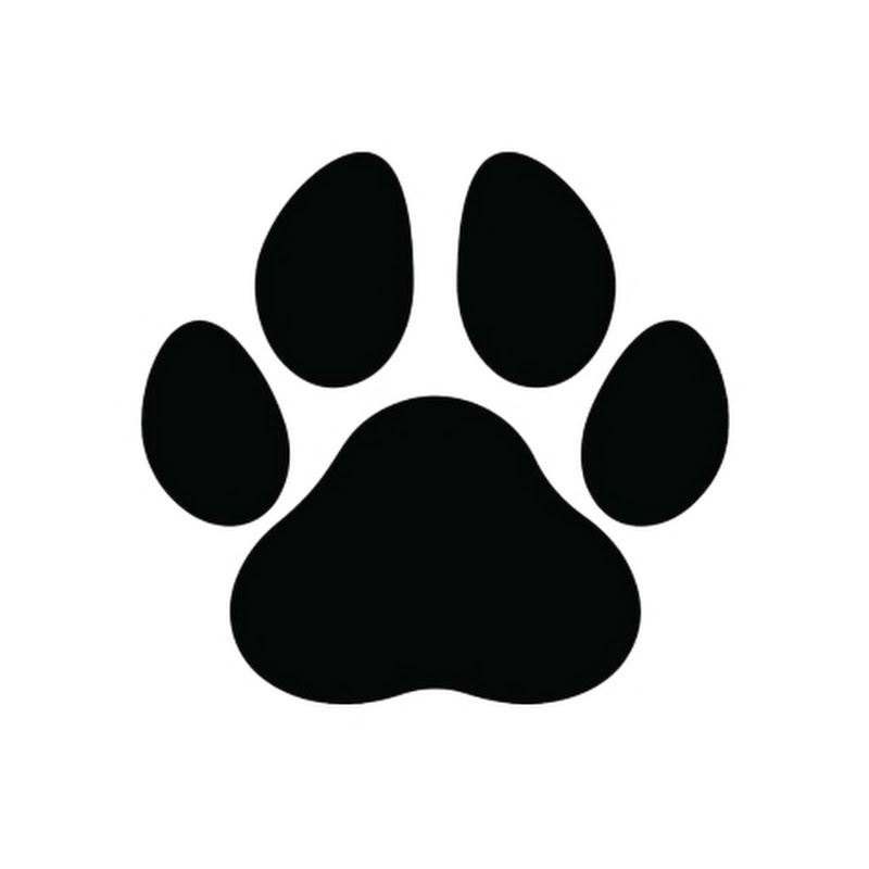 FactPaw