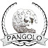 BxAEe4g9eBE-channel-avatar-gringolo pangolo