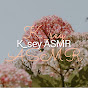 K_sey ASMR logo