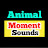 Animal Moment Sounds 