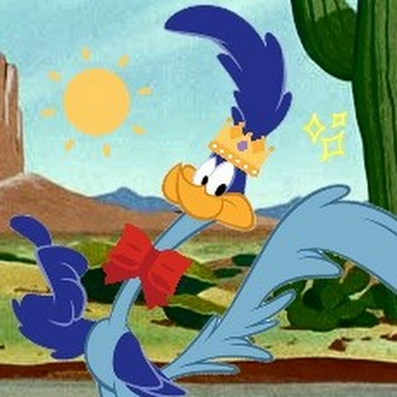 Road Runner icon
