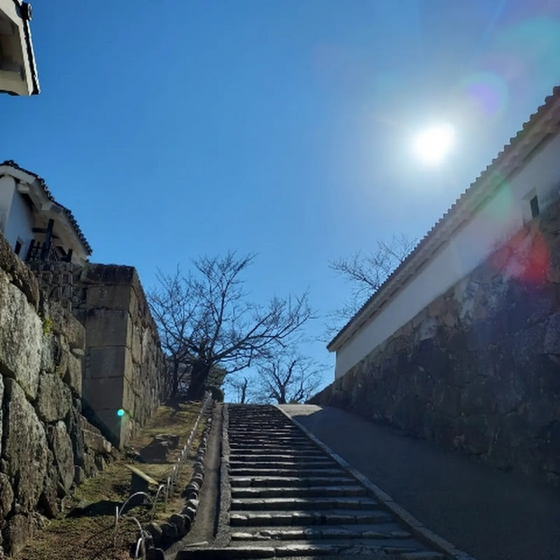 景熙賢 - Fortune telling 八字易卦塔羅占卜玄奇述異 Logo