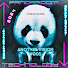 0E-Wm8CIcSU-channel-avatar-PANDAROOM music