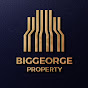 Biggeorge Property logo