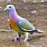 Channel Image