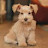 @Thebigdog-c5f Avatar